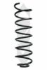 SPIDAN 49429 Coil Spring